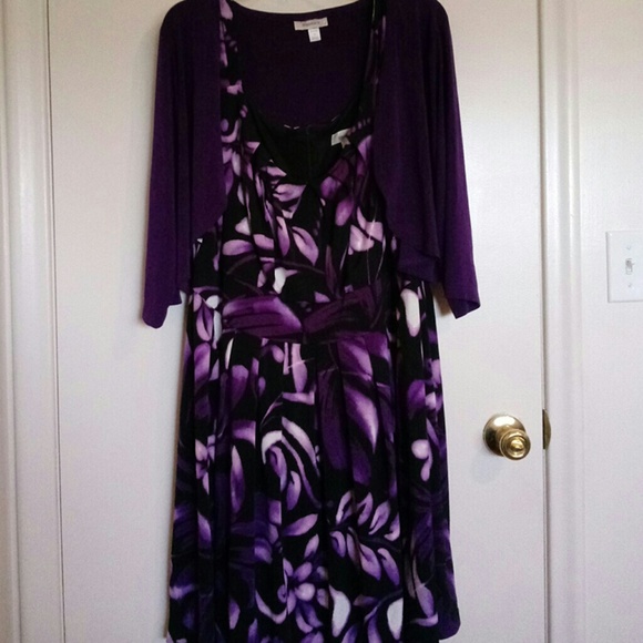 dressbarn suits plus size